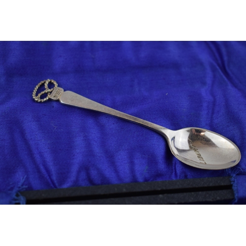 399 - Staffordshire/ Hunting interest. An interesting collection of silver plate tea spoons with the Staff... 