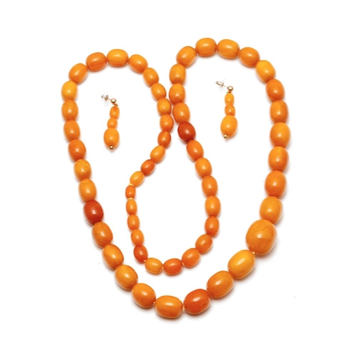 461 - A graduated set of butterscotch amber (or similar) beads, as a necklace, with a matching pair of ear... 