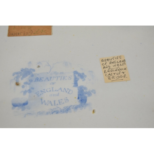 172 - An early 19th century blue and white transfer-printed Beauties of England and Wales series well and ... 