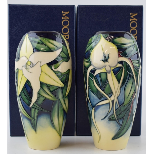 83 - A boxed pair of Moorcroft orchid vases, the first matching pair of vases, one being the Andraecum Or... 