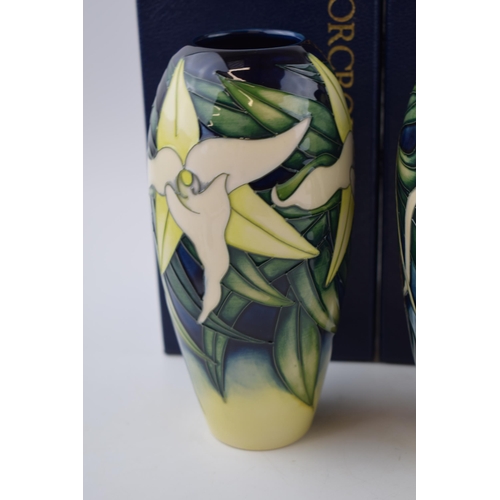 83 - A boxed pair of Moorcroft orchid vases, the first matching pair of vases, one being the Andraecum Or... 