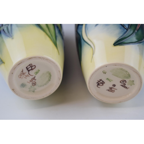 83 - A boxed pair of Moorcroft orchid vases, the first matching pair of vases, one being the Andraecum Or... 