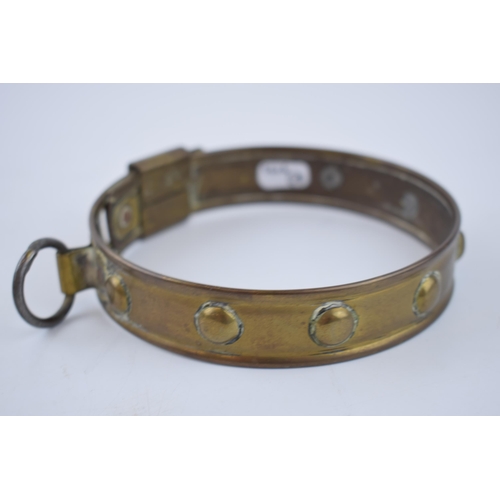 262 - An antique brass dog collar with steel hoop for attaching lead. Diameter 33cm.