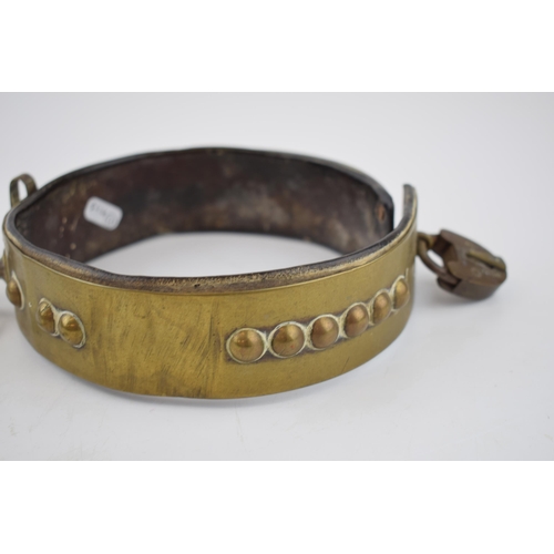 264 - An antique brass dog collar with ball decoration, sliding buckle and original leather insert. Period... 