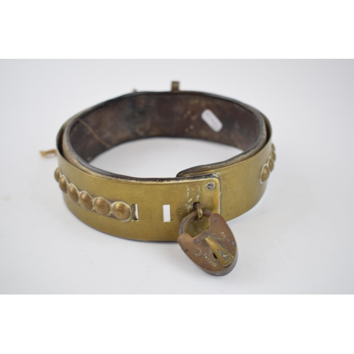 264 - An antique brass dog collar with ball decoration, sliding buckle and original leather insert. Period... 