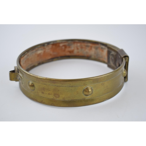 265 - An antique brass dog collar with ball decoration and sliding buckle.  Diameter 46cm.