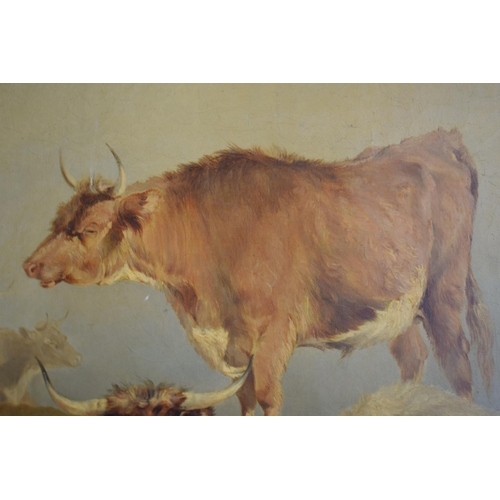 306 - Oil on canvas of Longhorn cattle at rest on mountainous grounds, circa 18th or earlier, with backgro... 