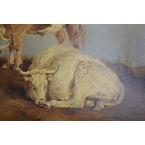 306 - Oil on canvas of Longhorn cattle at rest on mountainous grounds, circa 18th or earlier, with backgro... 