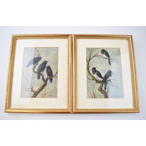 313 - A pair of painting by F. Ridgway 'Young Magpies' and 'Young Rooks' Signed and dated 1931 to reverse.... 