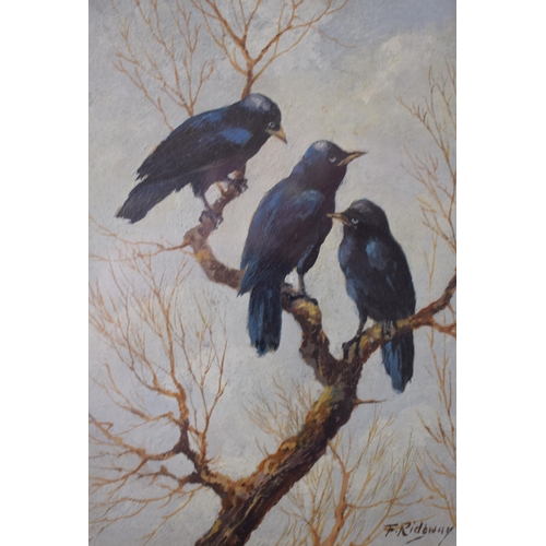 313 - A pair of painting by F. Ridgway 'Young Magpies' and 'Young Rooks' Signed and dated 1931 to reverse.... 