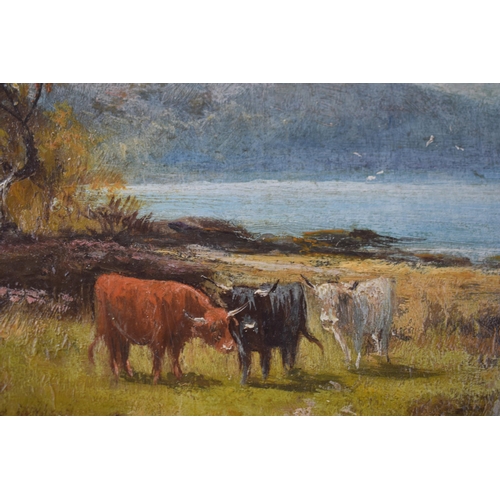 331 - Henry Hadfield Cubley (1858-1934): an oil on panel of a mountainous scene featured Highland cattle, ... 