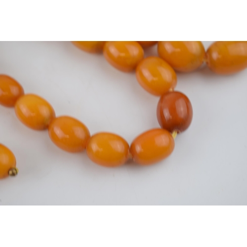 461 - A graduated set of butterscotch amber (or similar) beads, as a necklace, with a matching pair of ear... 