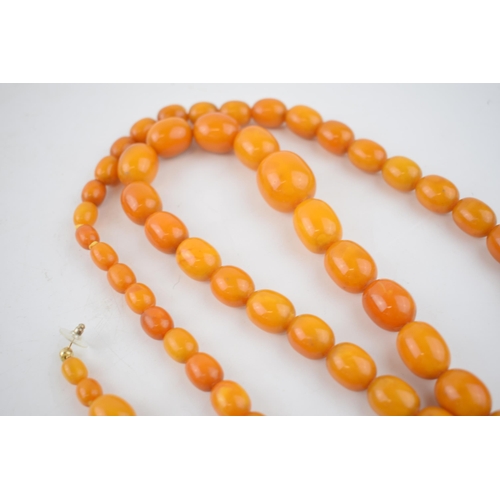 461 - A graduated set of butterscotch amber (or similar) beads, as a necklace, with a matching pair of ear... 