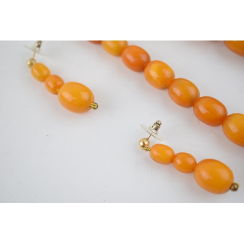 461 - A graduated set of butterscotch amber (or similar) beads, as a necklace, with a matching pair of ear... 