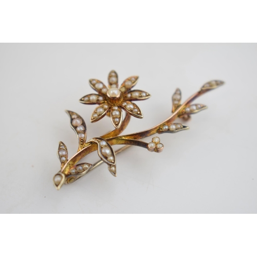 569 - 9ct gold floral brooch, set with seed pearls, 5.7 grams, 5cm long.