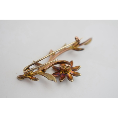 569 - 9ct gold floral brooch, set with seed pearls, 5.7 grams, 5cm long.