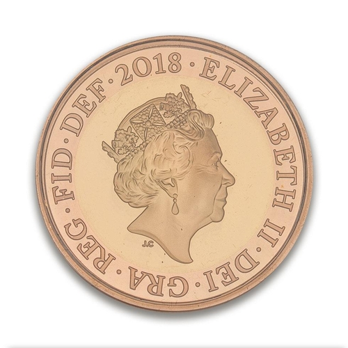 96 - Double sovereign / £2 proof 22ct gold coin, weight 16g.  100th Anniversary of WWI Armistice day, 201... 