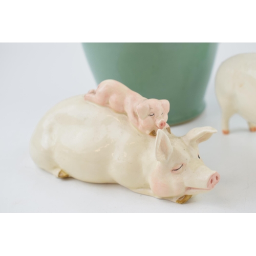 125 - A collection of Beswick pigs to include 'Wall Queen','Wall Champion Boy' and another example with a ... 