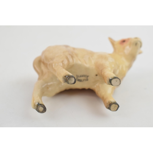 135 - Beswick Charolais Calf 1827B.