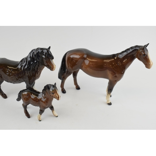 169 - Beswick brown horses to include a Shetland, a Shetland foal, a thoroughbred and 1 other (4).