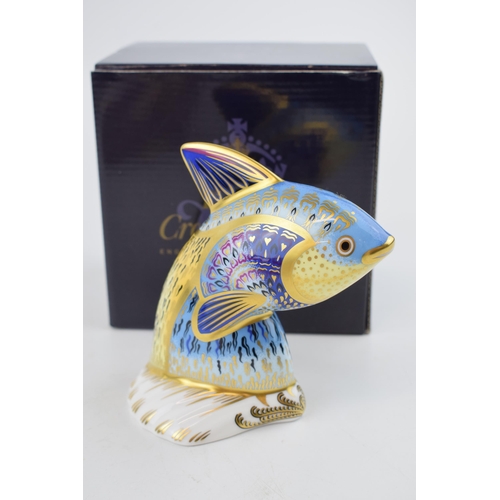 26 - Royal Crown Derby paperweight, from the Tropical Fish Series, Guppy, 12cms, this is number 1,195 of ... 