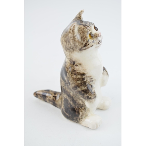 40 - Winstanley pottery cat, standing on its hind legs, with glass eyes, 15cm tall.