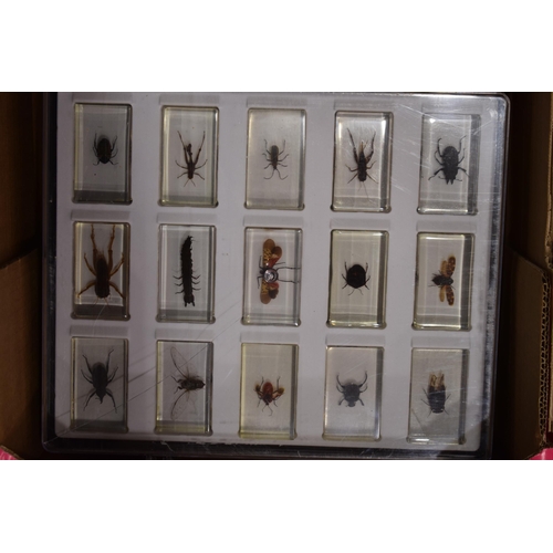 408 - A collection of 'Real Life' Bugs and Insects, National Geographic Magazine collectors set in present... 