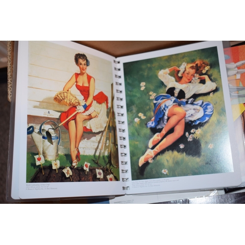 576 - A collection of nude pin-up pictures and booklets, Olivia Metamorphosis Collectors cards, saucy post... 