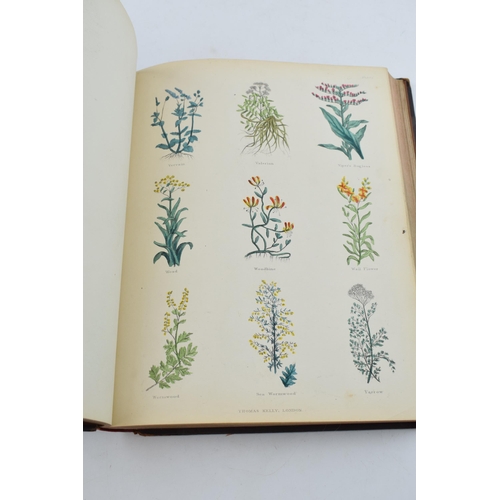 603 - Culpeppers Herbal 'The Complete Herbal' by Nicholas Culpeper M.D. With hand-tinted colour plates. Pr... 