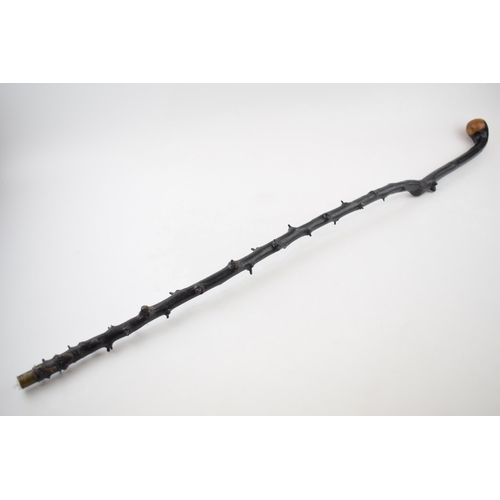 617 - Early to mid 20th century Irish black thorn walking stick with knob handle, 91cm long.