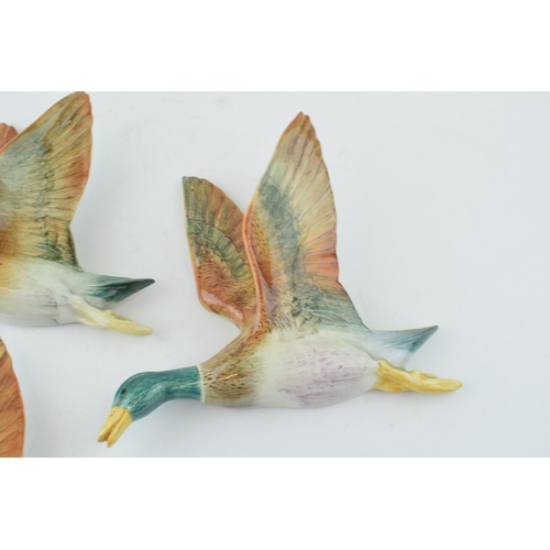 111 - A trio of pottery wall plaques in the form of flying mallard ducks, unmarked, though in the manner o... 