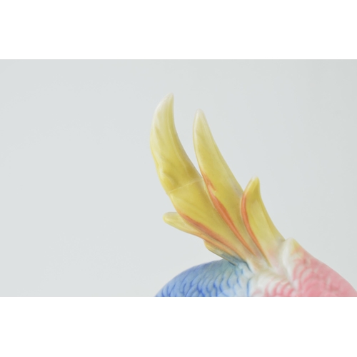 123 - Karl Ens figure of a parrott / cockatoo, 19.5cm tall (slight af).