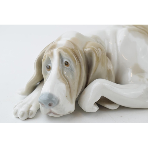 124 - Lladro 1067 figure Bloodhound dog 26cm x 11cm.