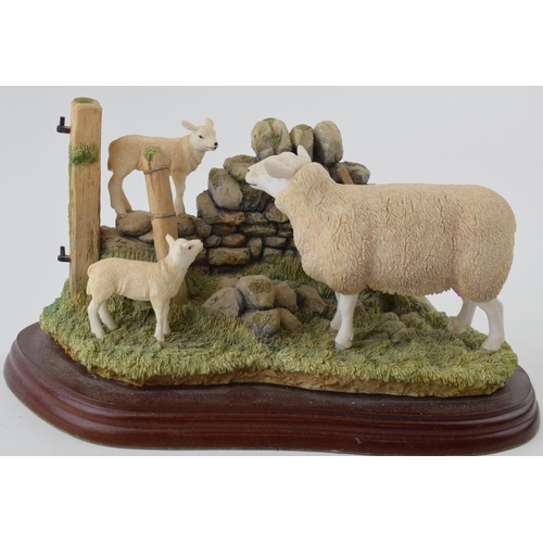 138 - Border Fine Arts Texel Ewe & Lambs, A8951.