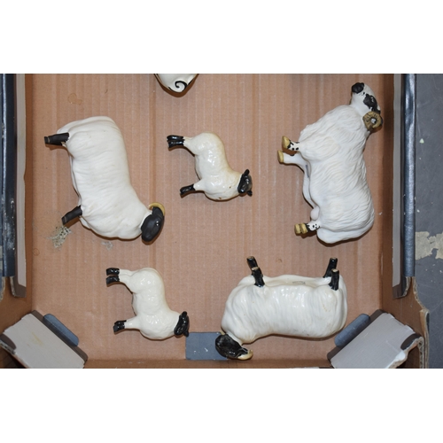 162 - A collection of Beswick sheeps to include 2 lambs, 2 ewes, 2 rams and a comical pig (7).