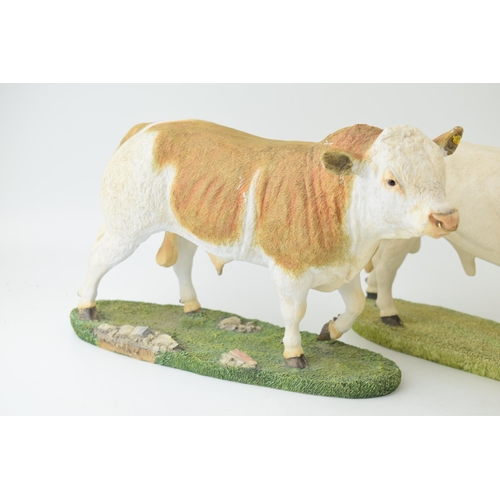 98 - Sherratt & Simpson Hand-painted 57325 Belgian Blue, 57316 Charolais Bull together with 57318 Simment... 