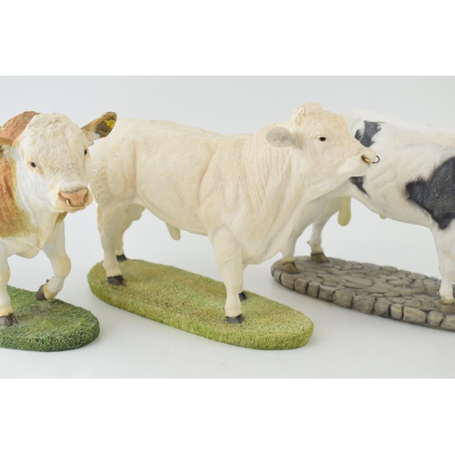 98 - Sherratt & Simpson Hand-painted 57325 Belgian Blue, 57316 Charolais Bull together with 57318 Simment... 