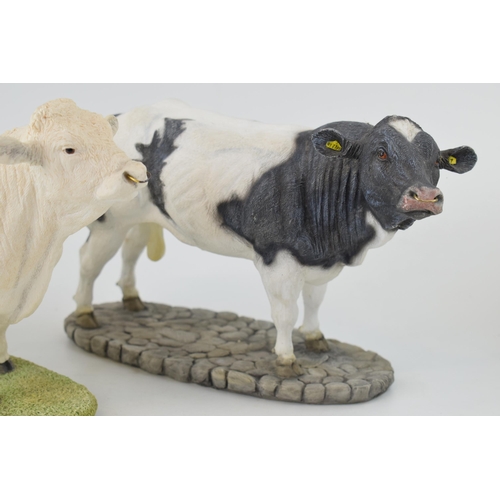 98 - Sherratt & Simpson Hand-painted 57325 Belgian Blue, 57316 Charolais Bull together with 57318 Simment... 