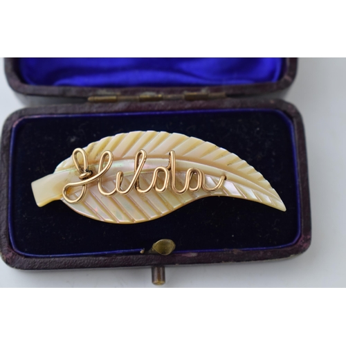 327 - A vintage brooch in antique jewellery box. Mother of pearl leaf design with yellow coloured metal wi... 