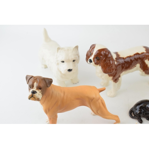 174 - Beswick dogs to include a spaniel, a matte boxer, a greyhound (damaged ear), a dachshund and westies... 