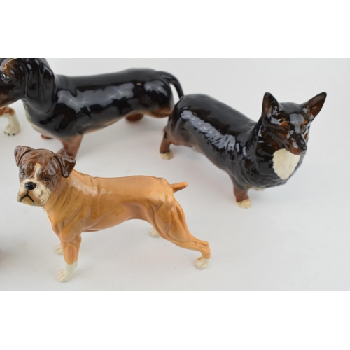 180 - Beswick large dogs to include a brown corgi, a dachshund, a boxer and others (5).