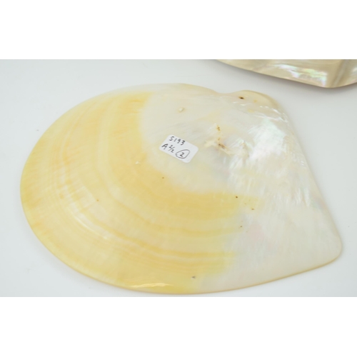 623 - Two good examples of mother of pearl sea shells. 7cm x 14cm. Weight 1022 grams.