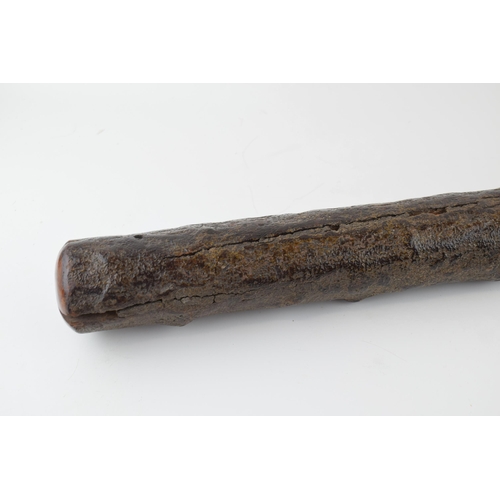 634 - A 19th century Shillelagh celtic fighting stick. A good original example. 55cm x 15cm.