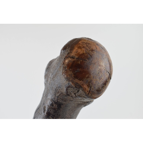 634 - A 19th century Shillelagh celtic fighting stick. A good original example. 55cm x 15cm.