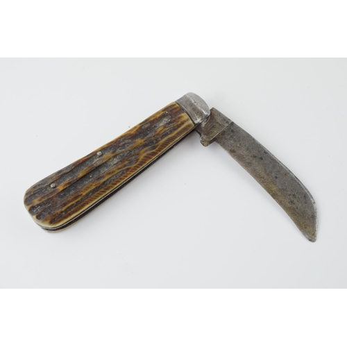 656 - An antique bone handle pruner pocket knife, no makers marks visible. blade 8cm, Total length 18.5cm.