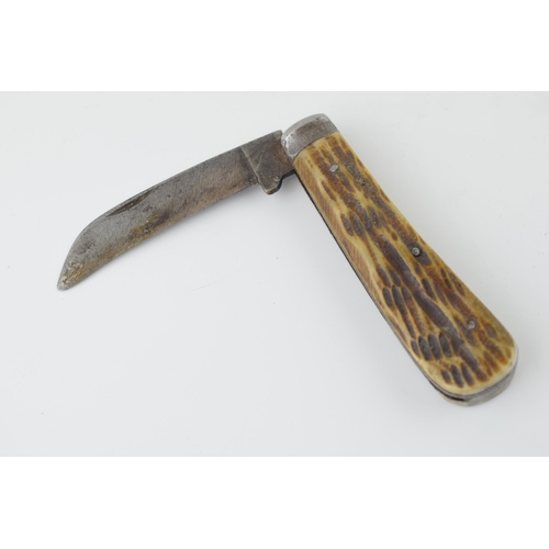 656 - An antique bone handle pruner pocket knife, no makers marks visible. blade 8cm, Total length 18.5cm.