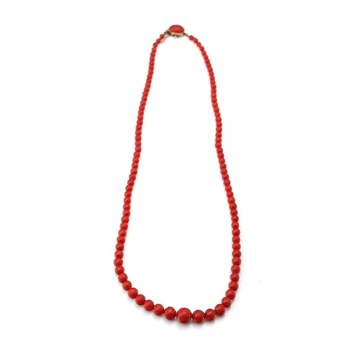 392 - A quality set of untreated Sardinian coral graduated beads, presented as a necklace on an 18ct gold ... 