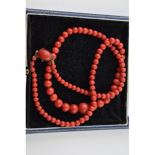 392 - A quality set of untreated Sardinian coral graduated beads, presented as a necklace on an 18ct gold ... 