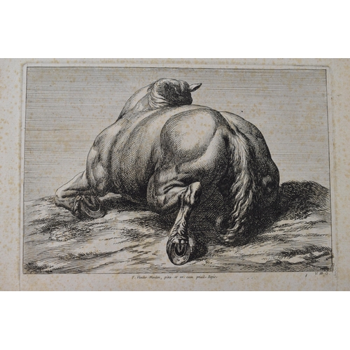 121I - Antique print of a horse, 'F. Vander Meuten, pink. et. cum privilege Regis. V.HB.f.c' 25cm x 17cm.