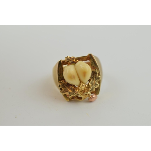 344 - 14ct yellow gold ring with oak leaf design and rose gold acorn set with two deers teeth. Of hunting ... 